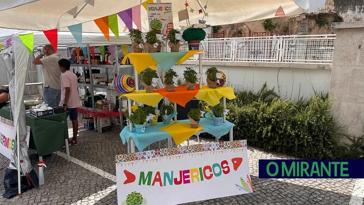 Arraial solidário no ISLA Santarém