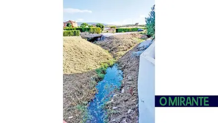 Falta de limpeza do ribeiro de Alpriate motiva queixas da população