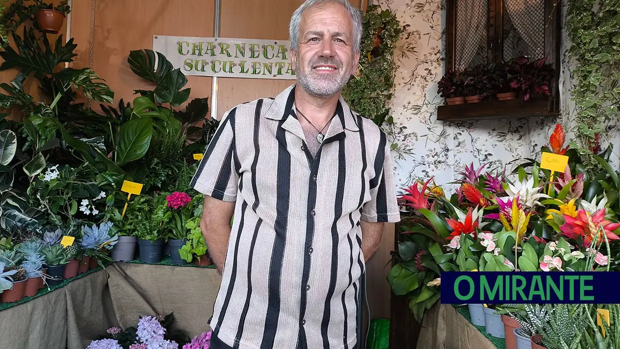 Feira de S. Pedro e do Chocalho anima Chouto com três dias de tradição e festa