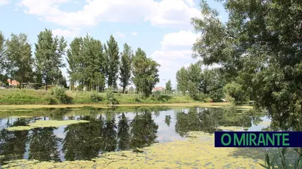 Golegã reforça alertas de segurança na lagoa da alverca
