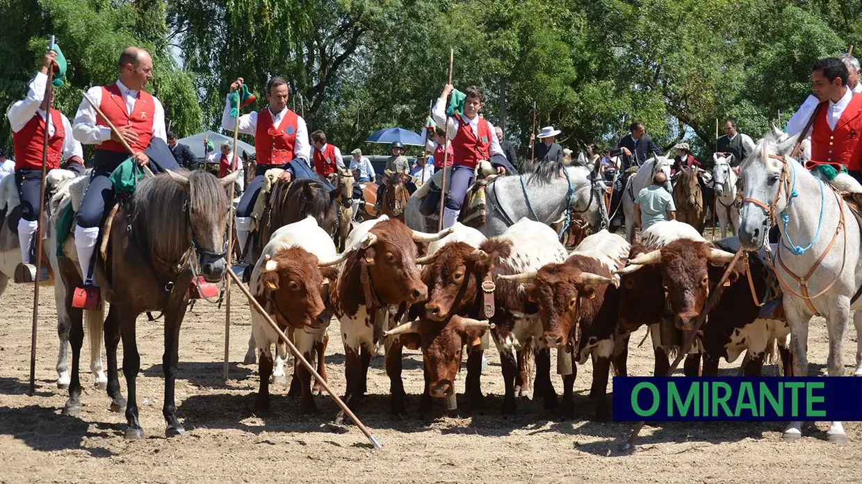 Benavente voltou a servir amizade com festa brava e sardinha assada