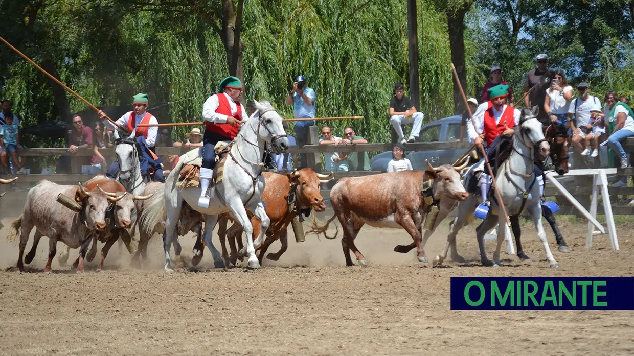 Benavente voltou a servir amizade com festa brava e sardinha assada