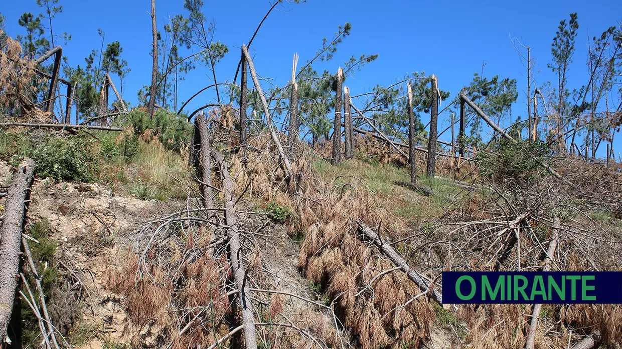 Executivo de Tomar no terreno para medir estragos e projectos na Sabacheira