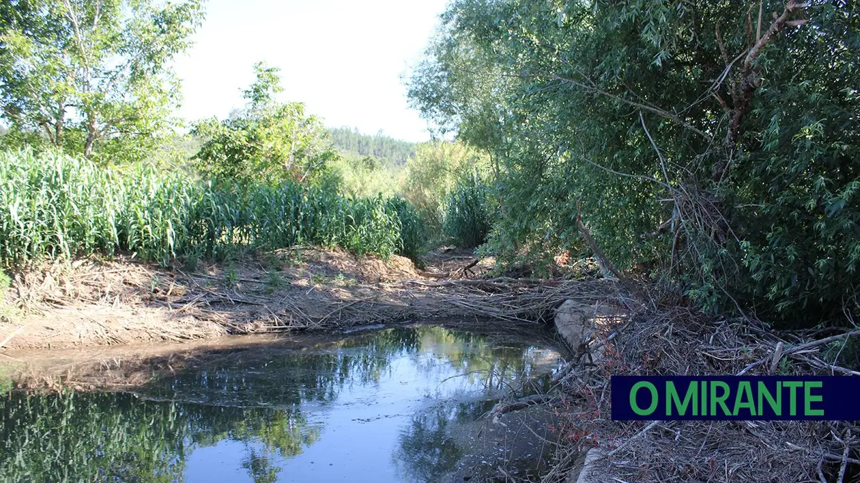 Executivo de Tomar no terreno para medir estragos e projectos na Sabacheira