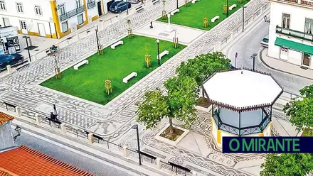 Metade das novas árvores do Jardim do Coreto na Chamusca estão mortas
