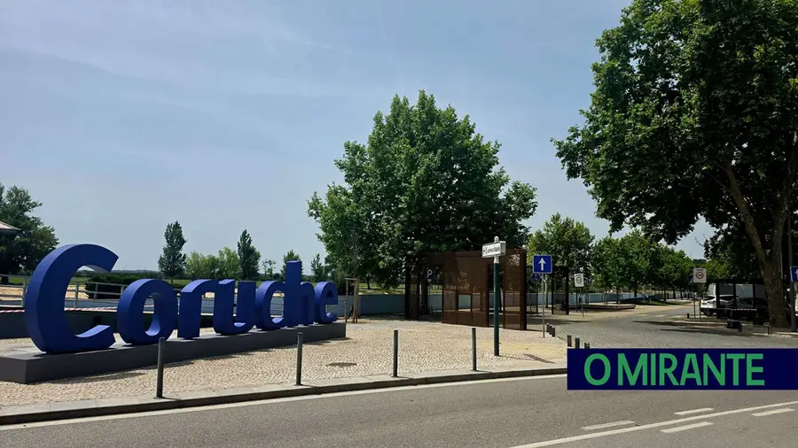Coruche atribui bolsas mensais de 250 euros a estudantes do ensino superior