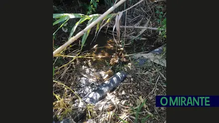 Esgotos a céu aberto continuam a preocupar moradores de Casal Jorge em Tomar