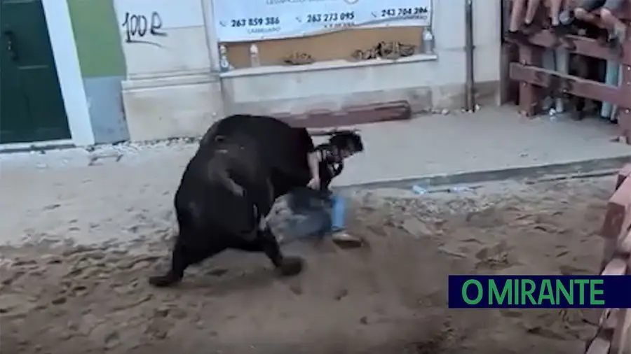 Colhida violenta em Vila Franca de Xira