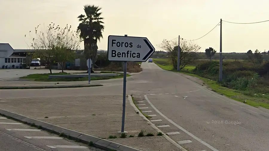 Câmara de Almeirim recusa-se a intervir na estrada municipal 1390