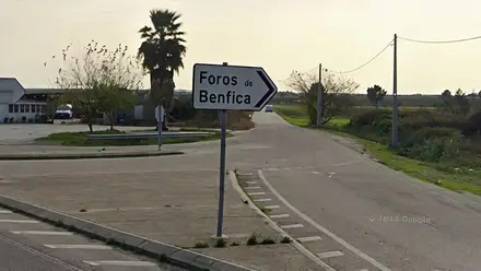 Câmara de Almeirim recusa-se a intervir na estrada municipal 1390
