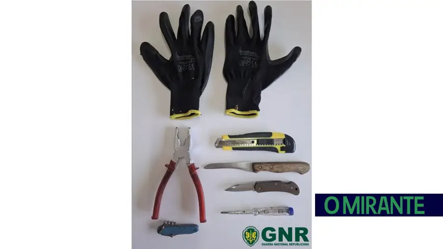 Detido em flagrante a furtar residência em Azambuja
