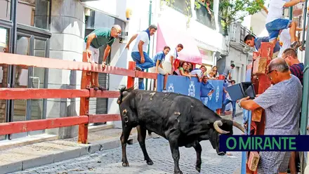 Contestado eventual regresso das largadas de toiros à Rua Direita em Coruche