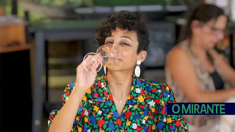 Concurso de Vinhos de Alenquer reuniu mais de 70 referências vínicas no Museu do Vinho