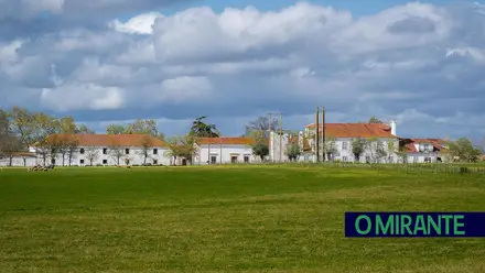 Furto no Depósito da Broa causa prejuízo de 18 mil à Câmara da Golegã