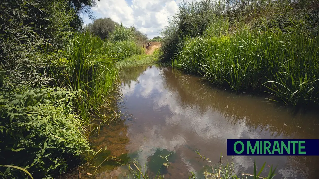 Do arroz ao pinhão: a obra de irrigação do Vale do Sorraia em Coruche