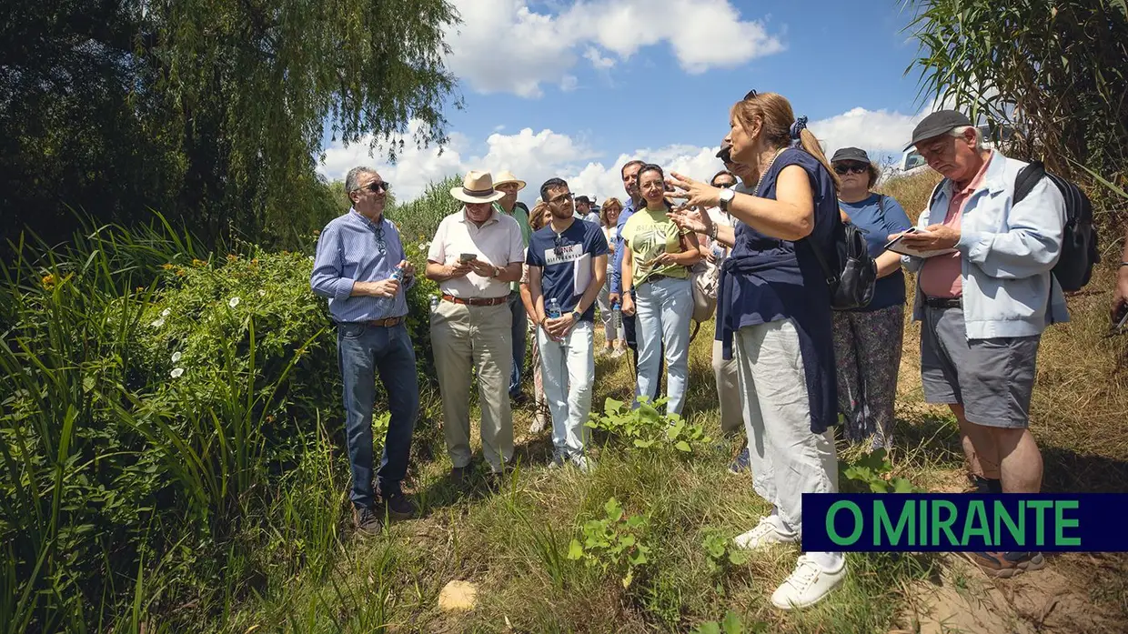 Do arroz ao pinhão: a obra de irrigação do Vale do Sorraia em Coruche