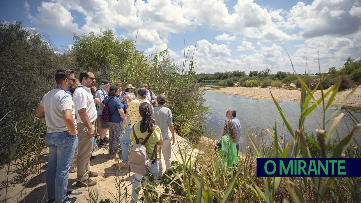 Do arroz ao pinhão: a obra de irrigação do Vale do Sorraia em Coruche