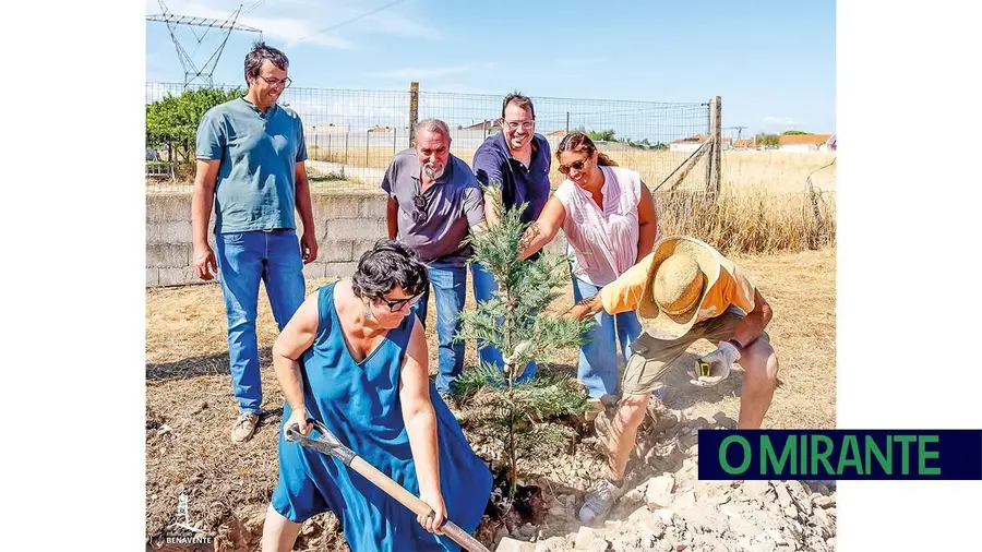 Árvores plantadas junto aos campos da AREPA para criar cortina verde