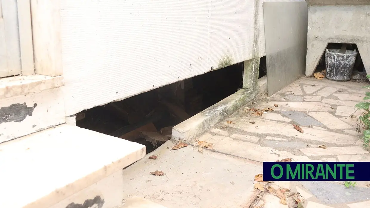 Casa abandonada há 25 anos no Entroncamento transformada em foco de ratos, baratas e cobras