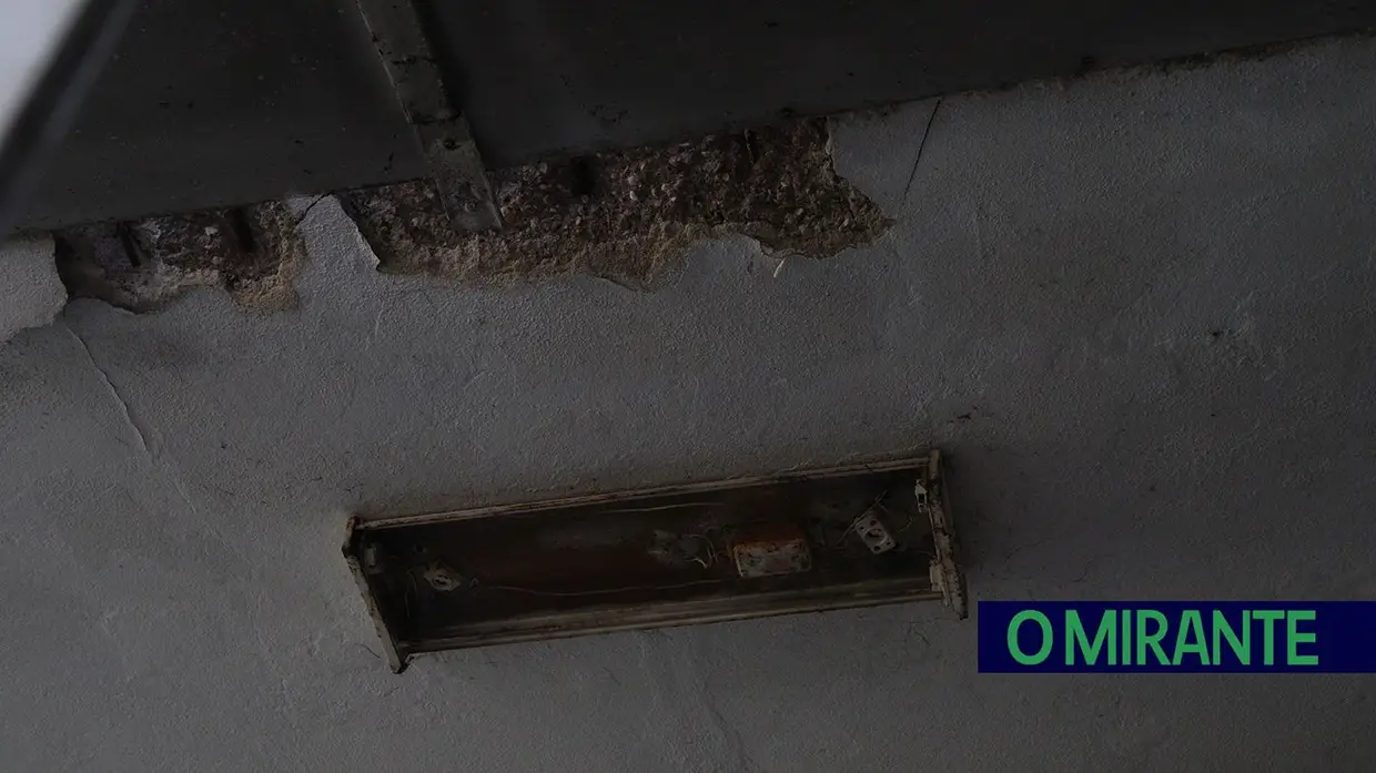 Casa abandonada há 25 anos no Entroncamento transformada em foco de ratos, baratas e cobras