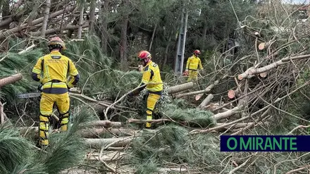 Operacionais da Protecção Civil iniciam greve nacional de cinco dias