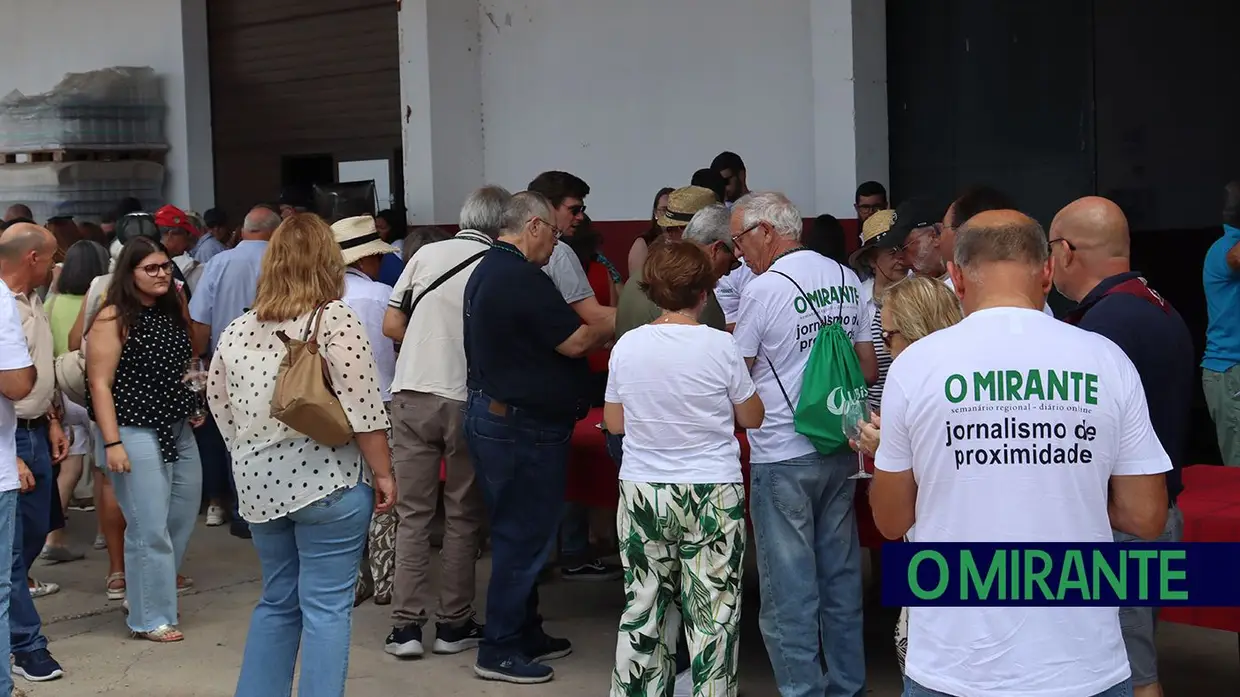 Renault 4 lançam-se à estrada na Chamusca para mais um passeio