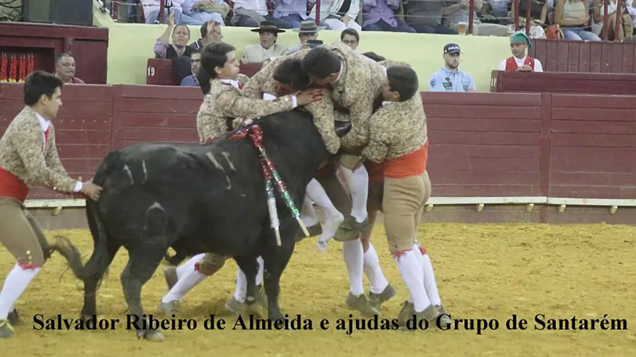 Campo Pequeno recebeu primeira corrida da temporada
