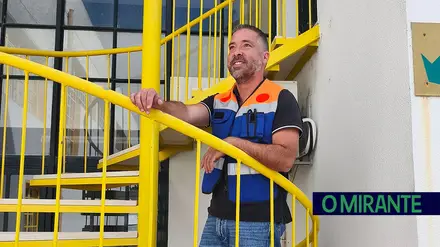 Boa gestão do eucalipto não esconde abandono de pequenos terrenos