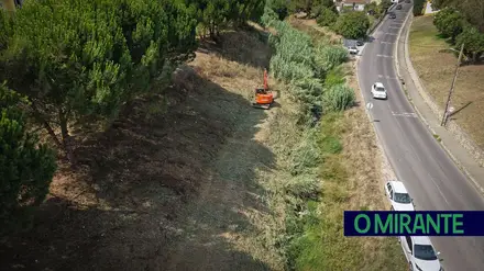 Arruda dos Vinhos avança com desmatação e limpeza dos cursos de água