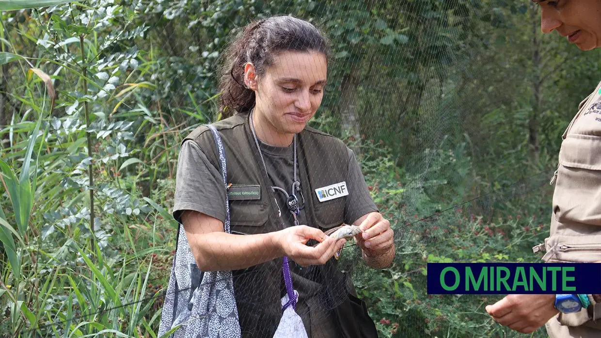 Vigilantes da Natureza alertam para falta de efectivos