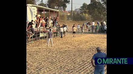 Toiro solta-se e causa vários feridos na Benção do Gado em Riachos