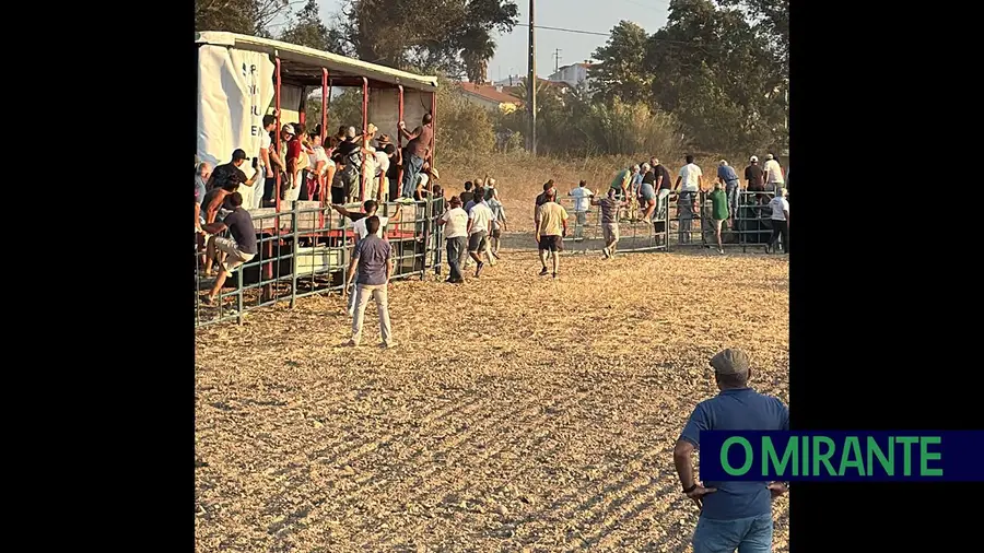 Toiro foge na Bênção do Gado em Riachos e provoca quatro feridos