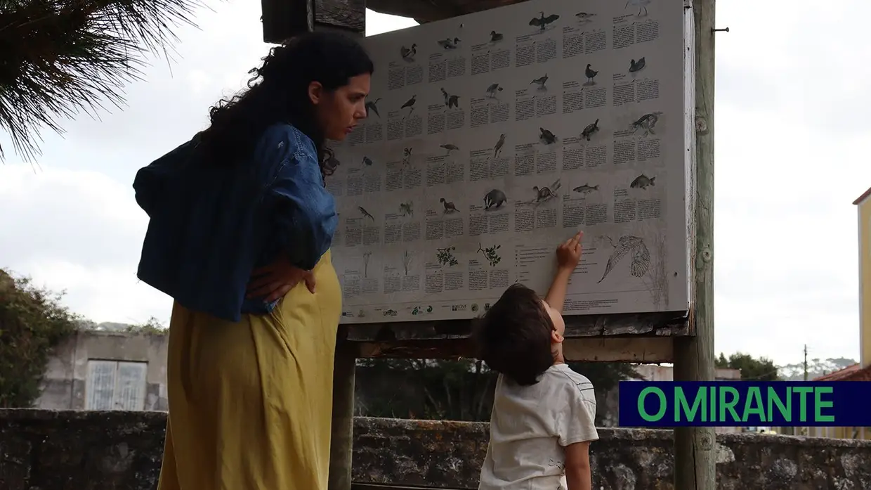 Vigilantes da Natureza alertam para falta de efectivos