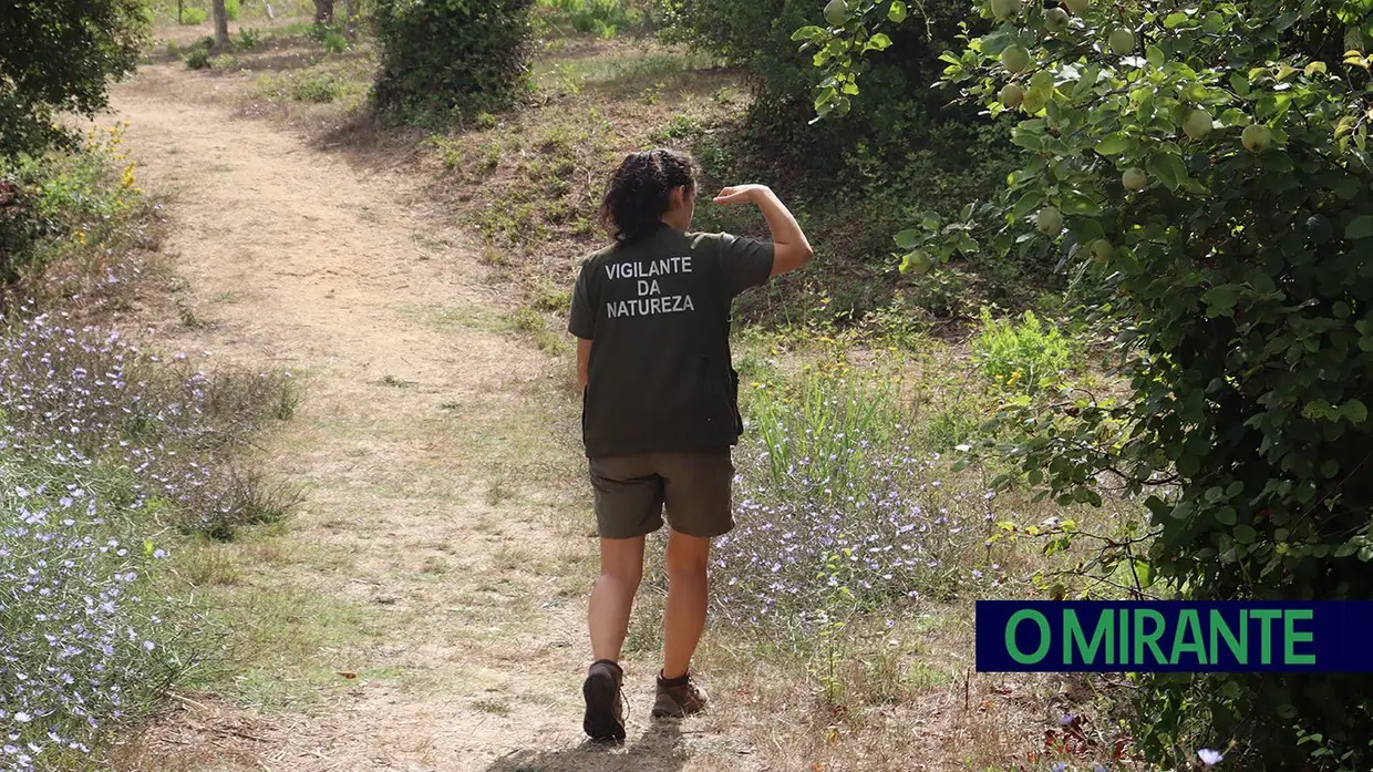 Vigilantes da Natureza alertam para falta de efectivos