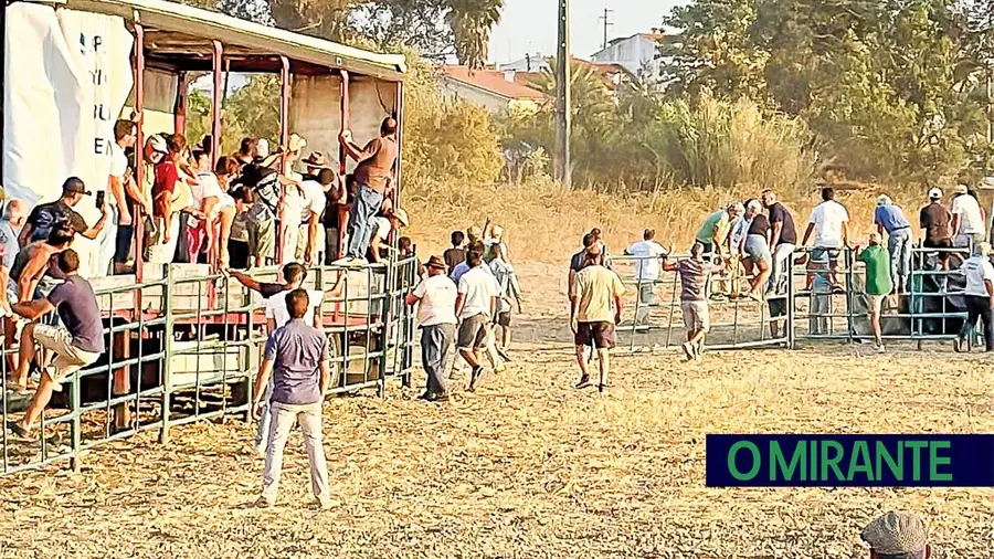 Toiro derrubou grades e fez quatro feridos em picaria nas Festas da Bênção do Gado