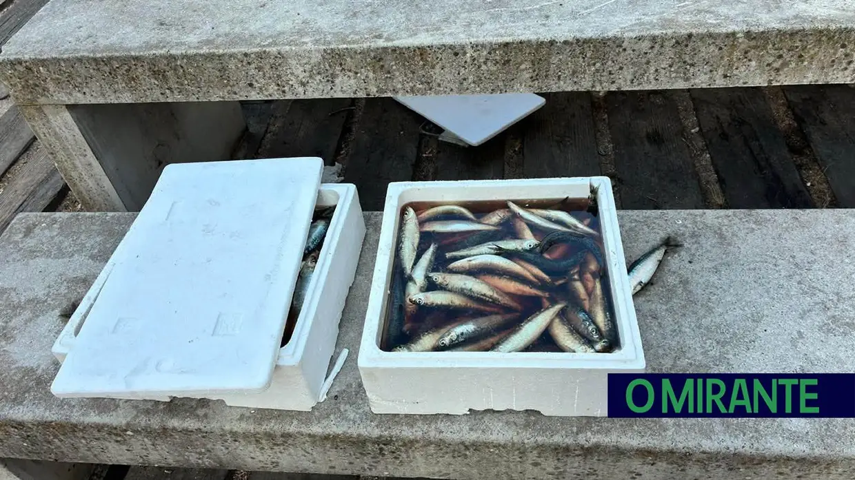 Praia dos Pescadores transformada em lixeira após mais um fim-de-semana