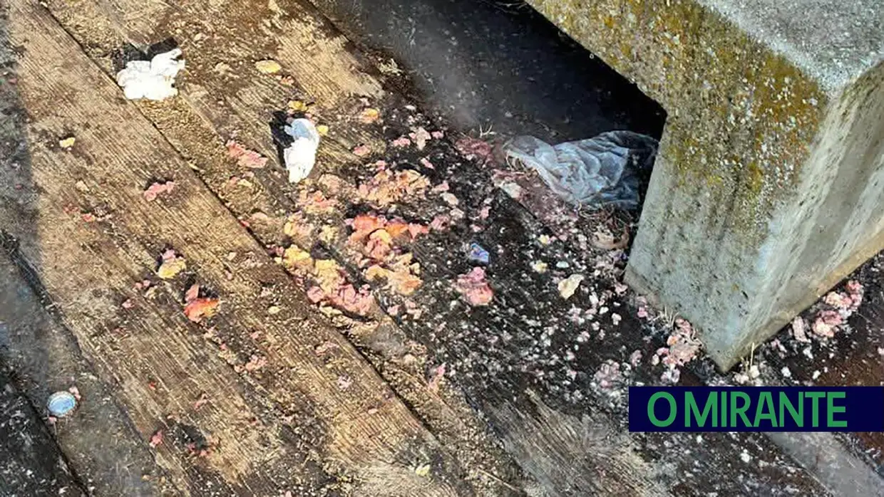 Praia dos Pescadores transformada em lixeira após mais um fim-de-semana