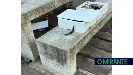 Praia dos Pescadores transformada em lixeira após mais um fim-de-semana