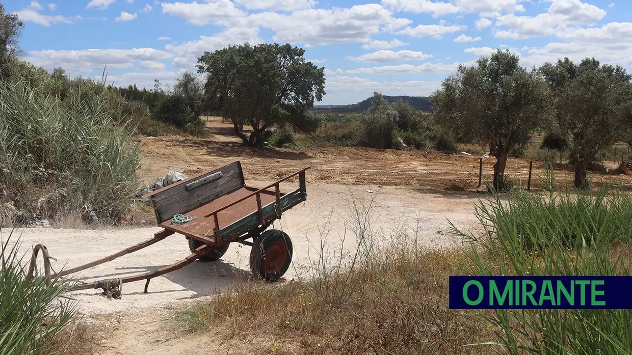 Demolidas construções ilegais na Estrada da Carreira de Tiro em Santarém