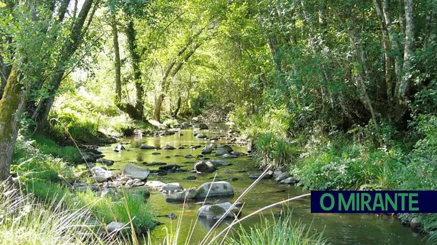 Intervenção ilegal destruiu margens da Ribeira de Alcolobre