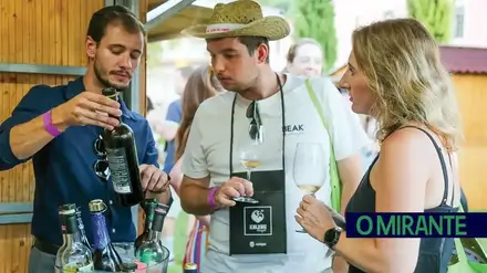 Alma do Vinho reforça experiências enoturísticas na edição de 2026