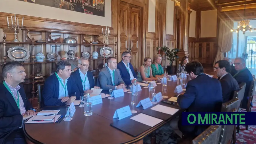 Autarcas voltam a defender reabertura das urgências obstétricas de Vila Franca de Xira e Barreiro