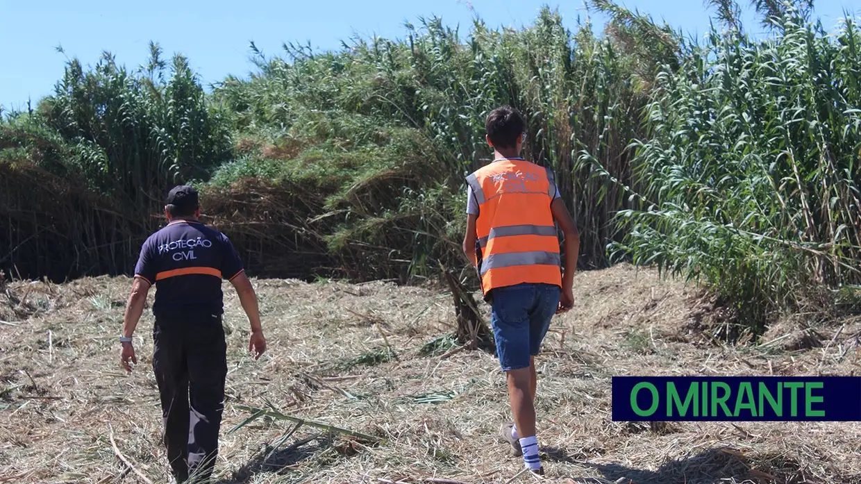 Voluntariado em Almeirim para jovens terem outra visão do mundo