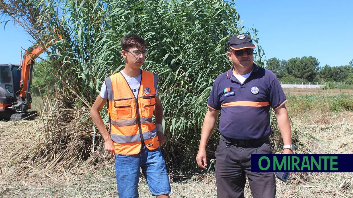 Voluntariado em Almeirim para jovens terem outra visão do mundo