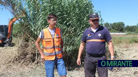 Voluntariado em Almeirim para jovens terem outra visão do mundo