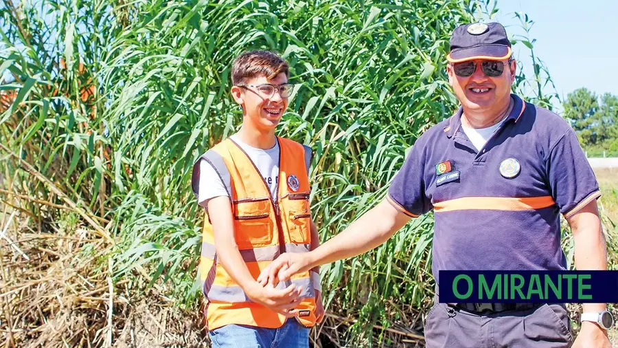 Jovens de Almeirim trocam os ecrãs pelo voluntariado e dão tempo à comunidade