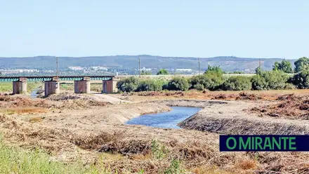 Obras sem licença arrasaram margens da Ribeira de Alcolobre; promotor obrigado a recuperar margens