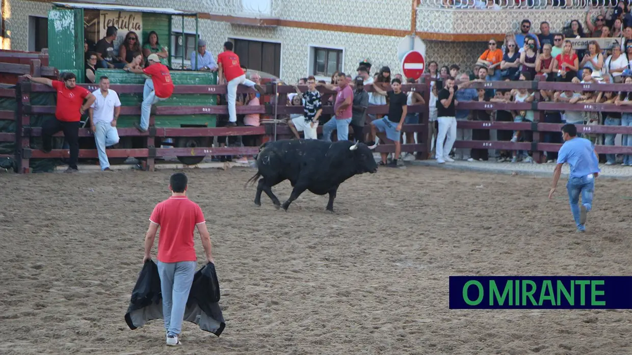 Entradas de toiros voltam a encher as ruas de Samora Correia
