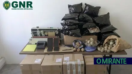 GNR apreende 73 quilos de papoila e material de pesagem em Alenquer