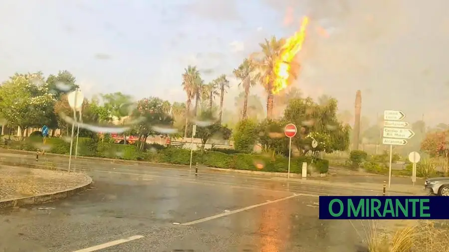 Raio provoca incêndio ao atingir palmeira em Rio Maior